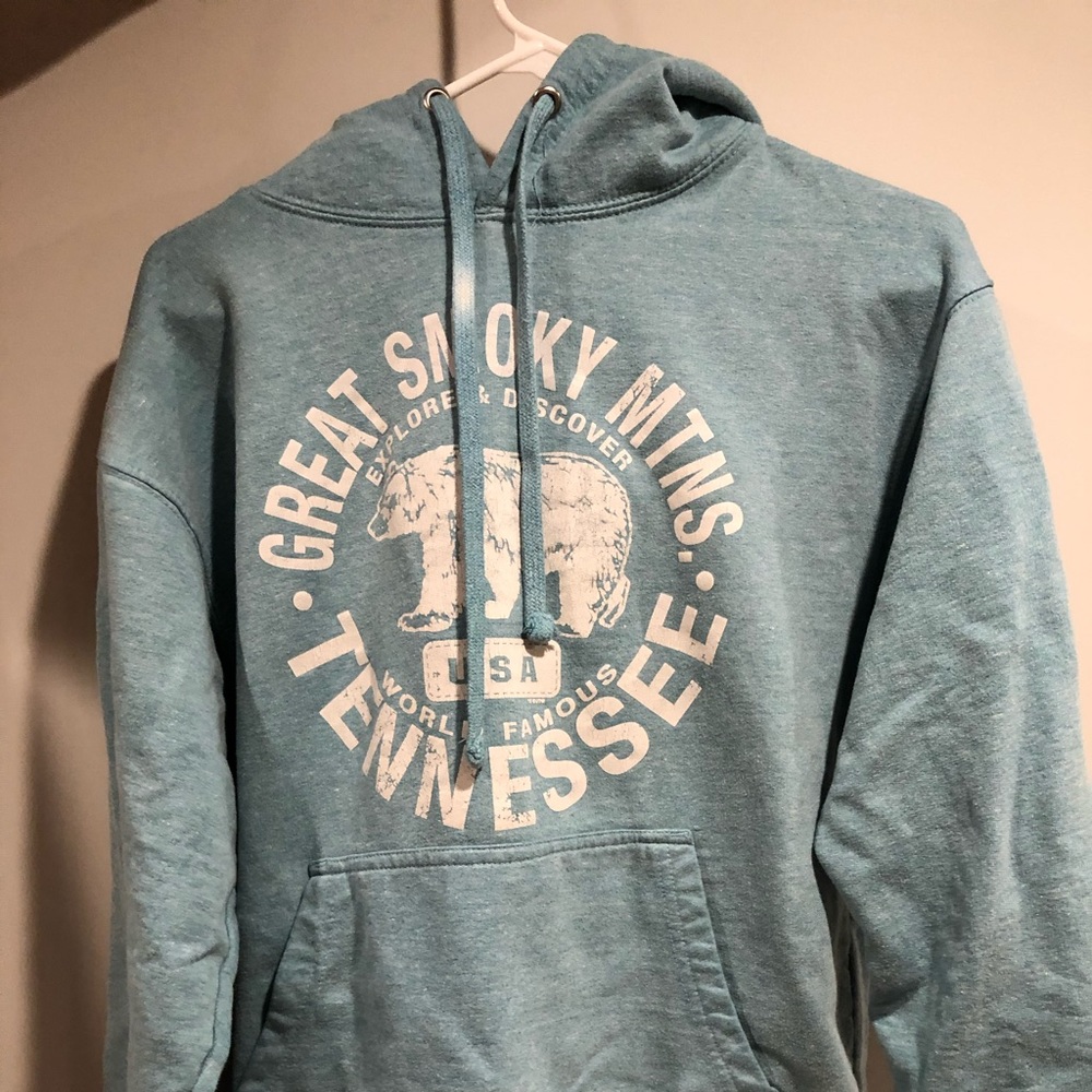 Pre-Loved blue Hoodie! Perfect for DIYs!